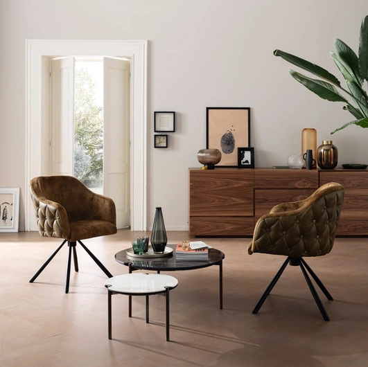 Madia moderna Geko di Alta Corte